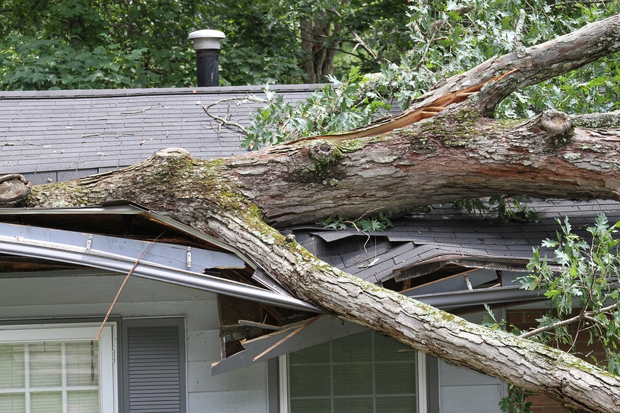 Storm Damage Repair