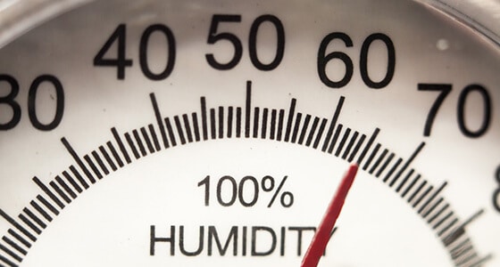 humidity gage